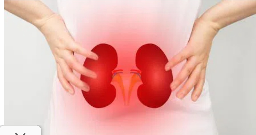 Kidney Health Alert: Experts Stress Importance of Early Care and Lifestyle Changes