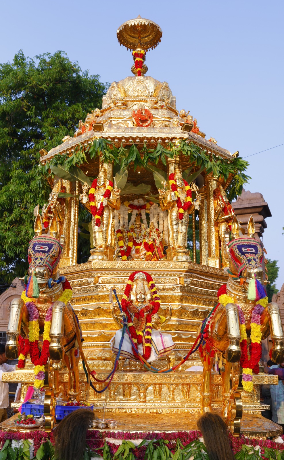 On the occasion of the Arudra Nakshatra, a golden chariot festival for Sri Swami and Ammavaru is being held with the resolve for the welfare of the world.