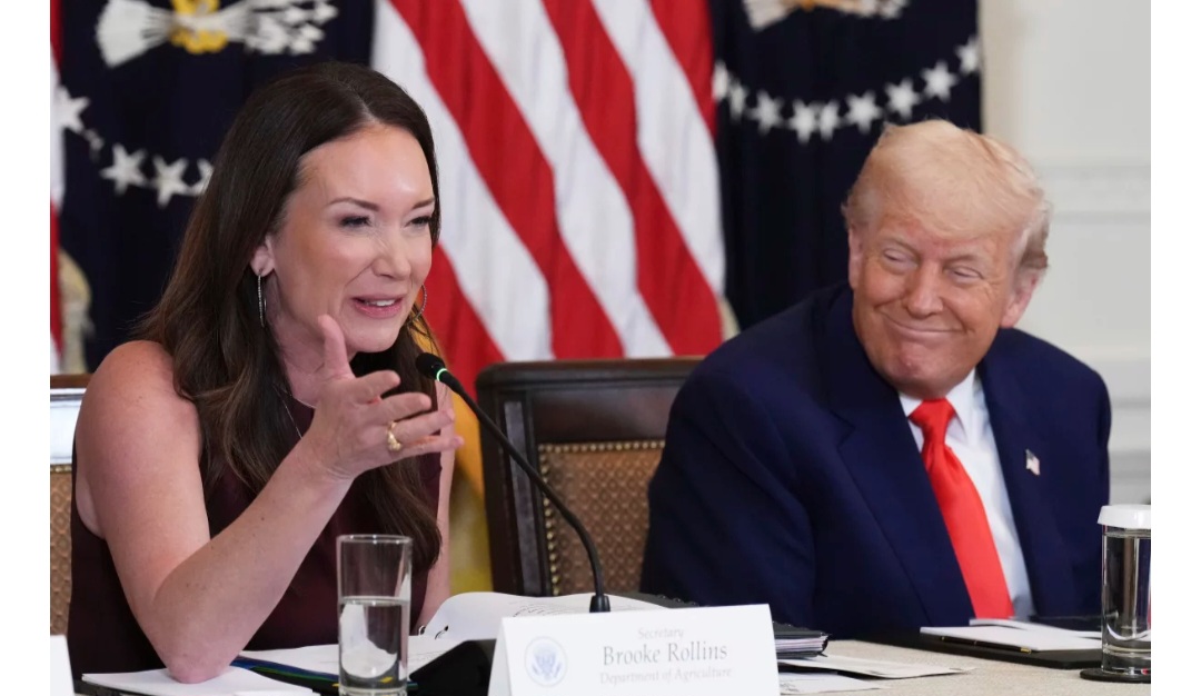 Trump Claims Historic Immigration Shift, Announces DHS Moves and Agriculture Support