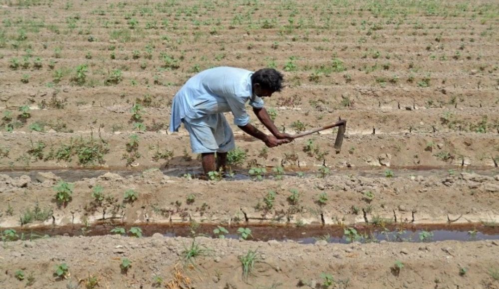 सिंध और बलूचिस्तान में गंभीर जल संकट, क्षेत्रीय चिंताओं को बढ़ाता है