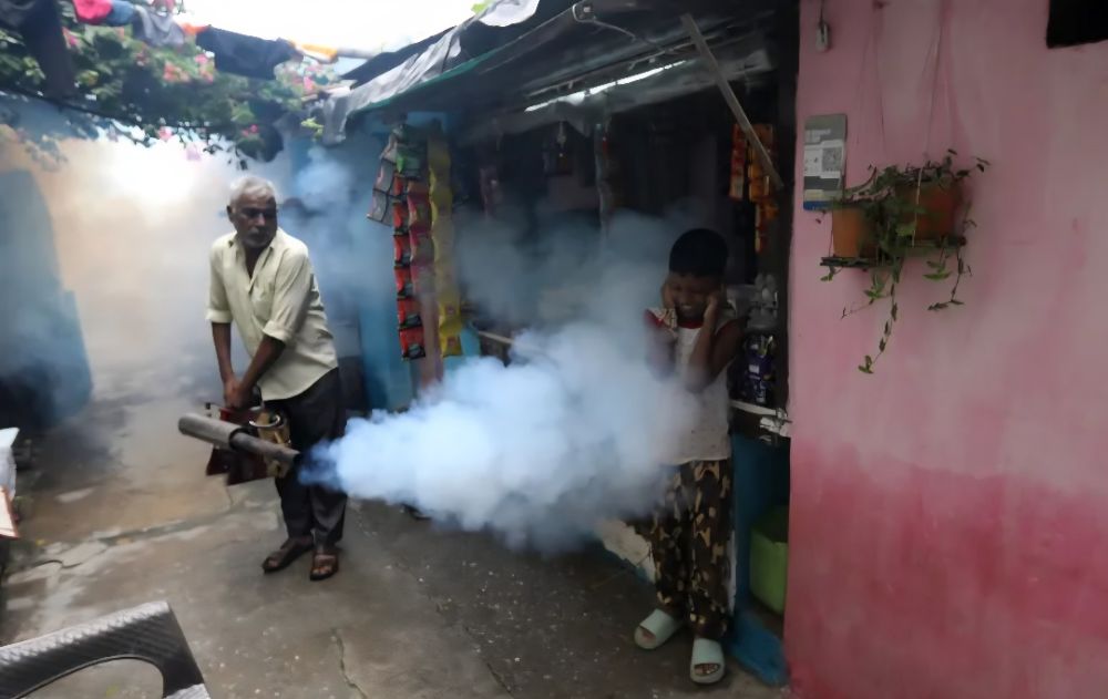 Erratic Rains Trigger Dengue Alarm in Hyderabad, Mosquito Menace Raises Health Fears